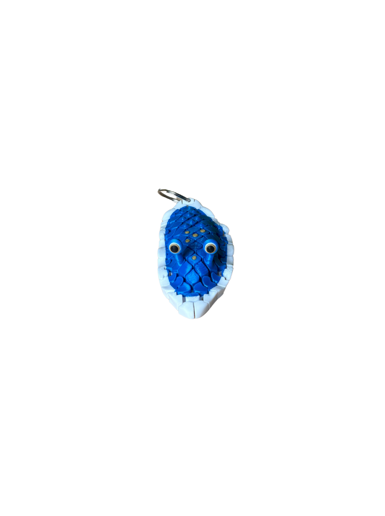 Sea-slug3.png