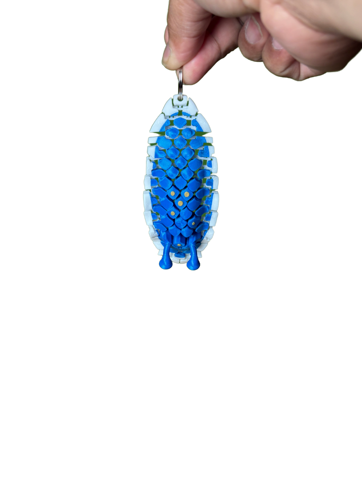 Sea-slug1.png