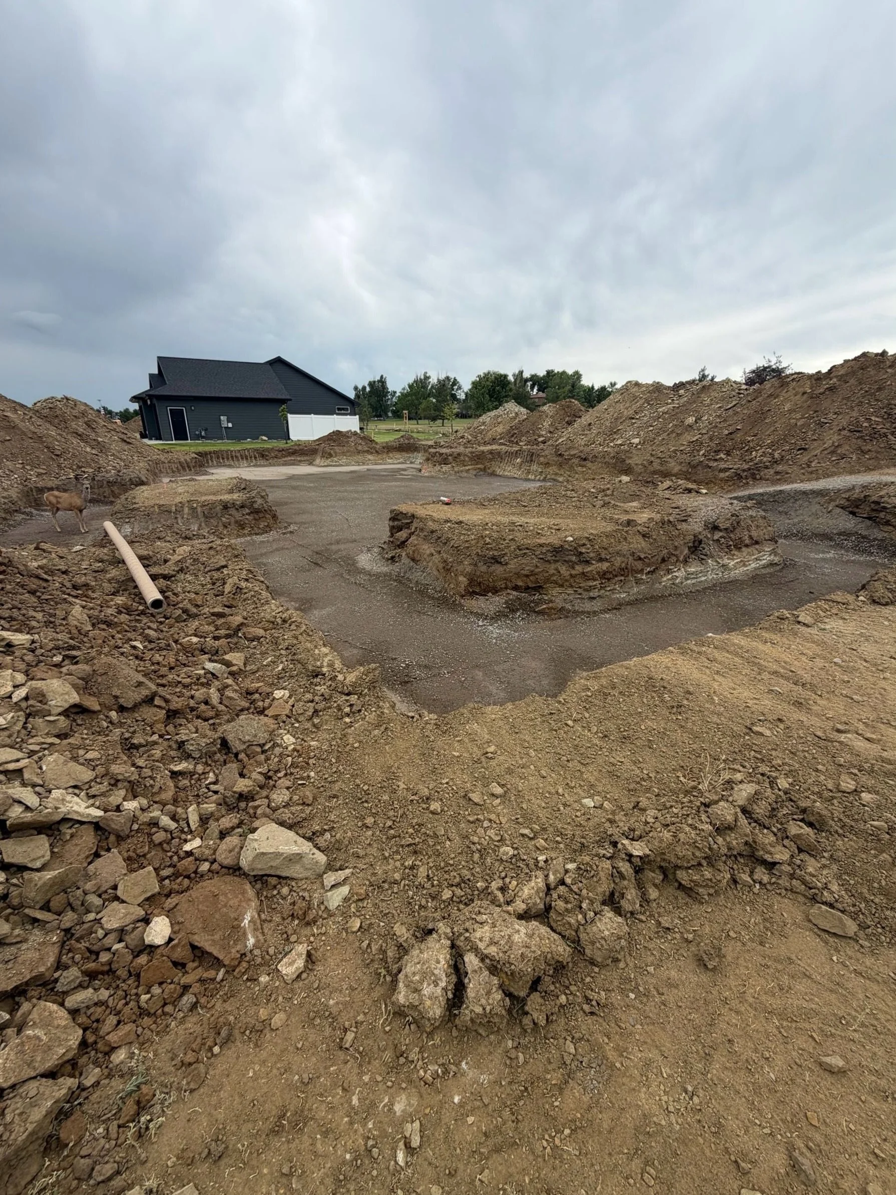 I spy with my little eye&hellip; 

someone scouting the newest address in the neighborhood! 
&bull;&bull;&bull;
Custom Home Builder in Billings MT | New Home Construction | Residential Builder
#billingsmt #generalcontractor #montana #montanawildlife