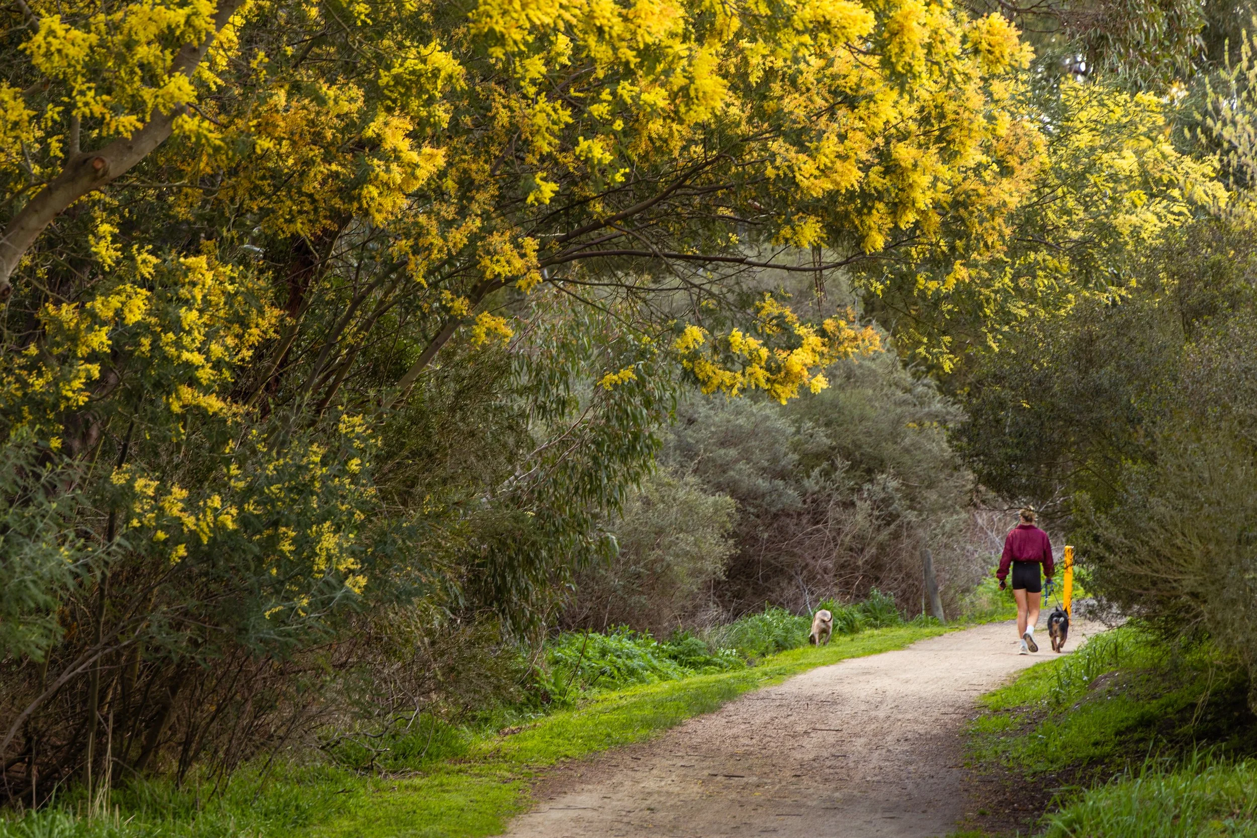 Women's Health Grampians