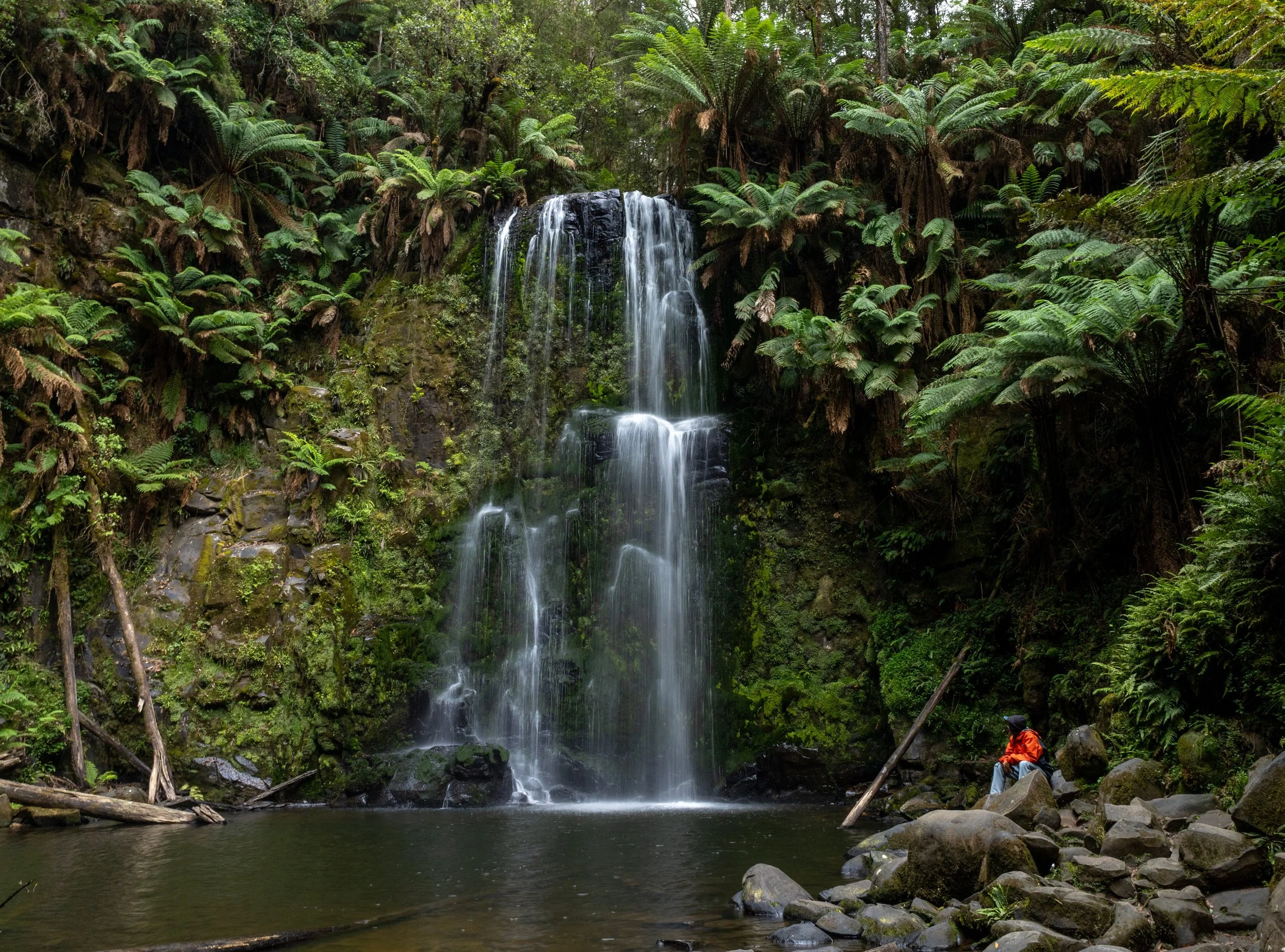 20250208-IMG_0903 copy.jpg