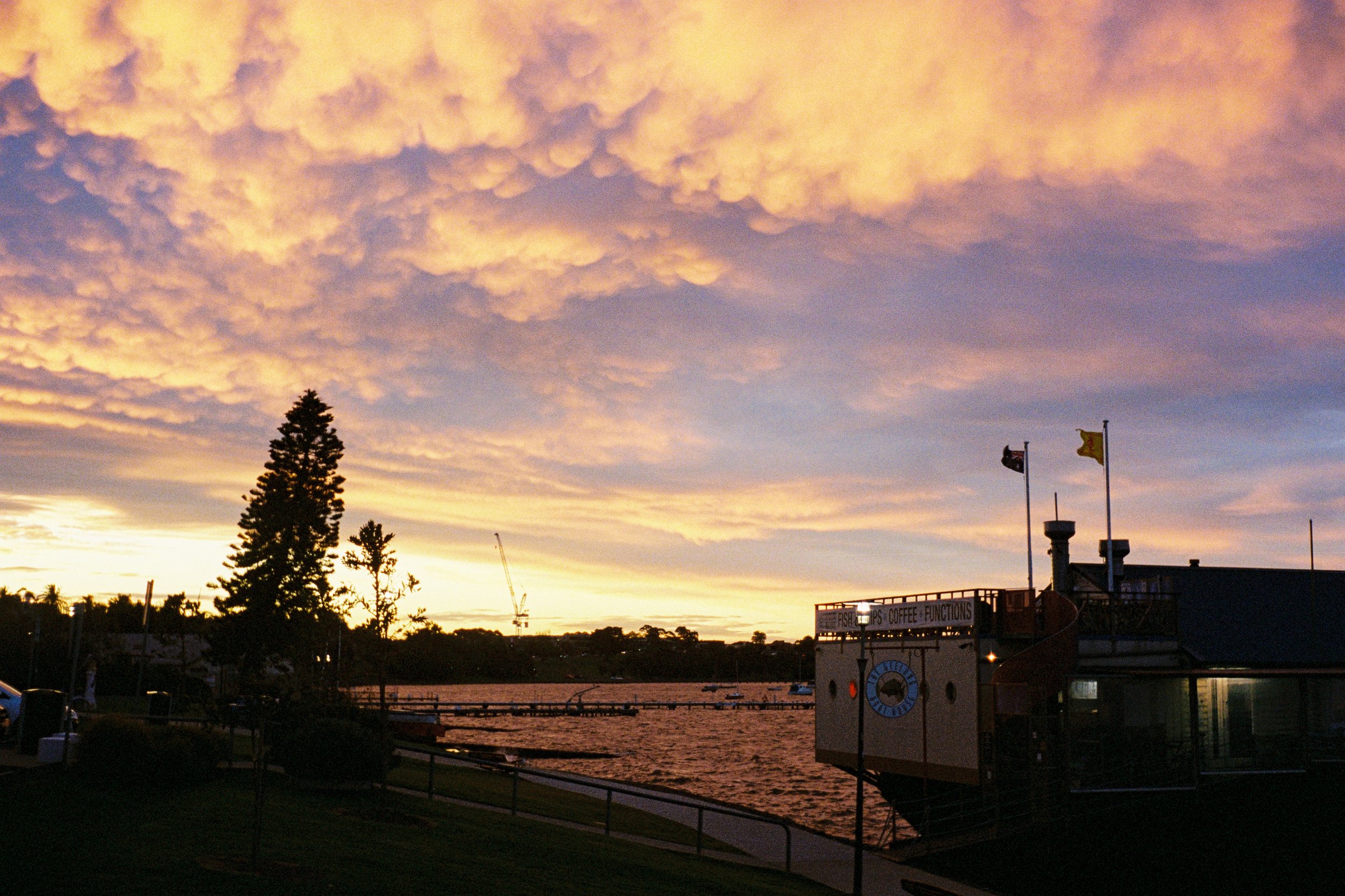 2025_June_FilmPhotos-9.jpg