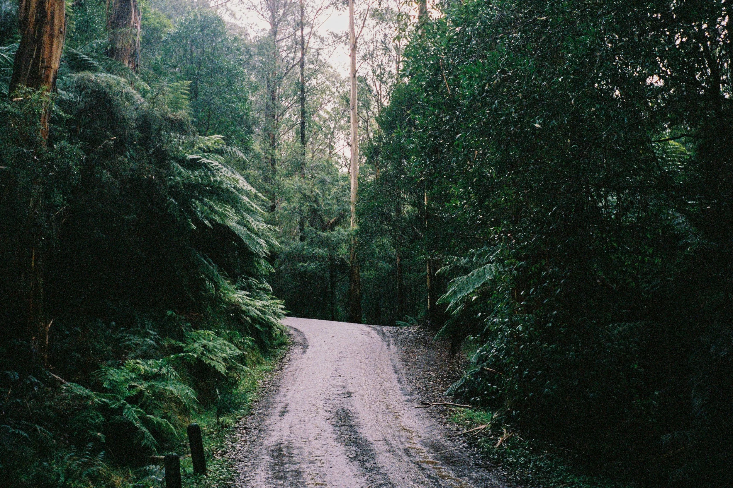 2025_June_FilmPhotos-16.jpg