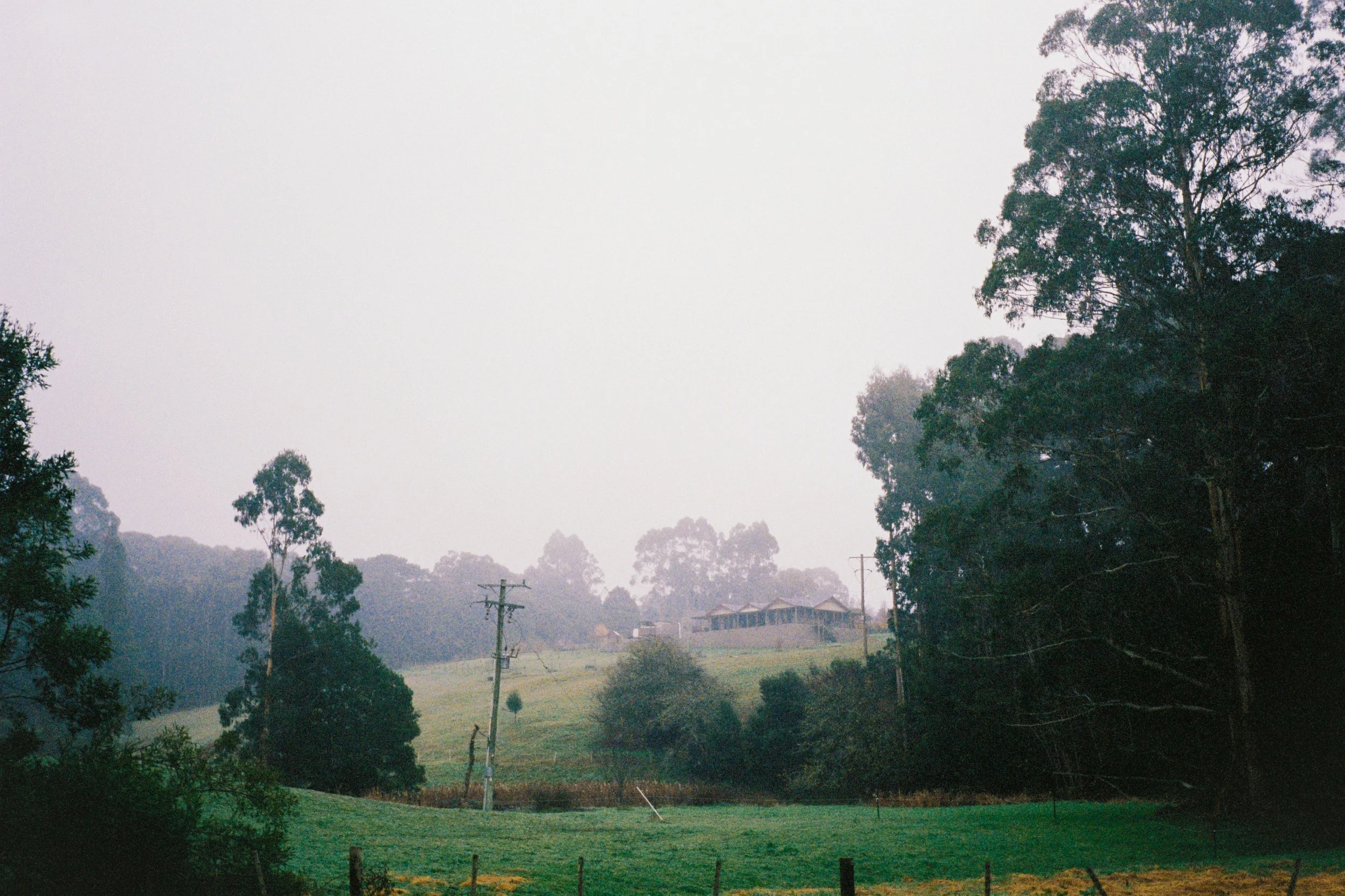 2025_June_FilmPhotos-29.jpg