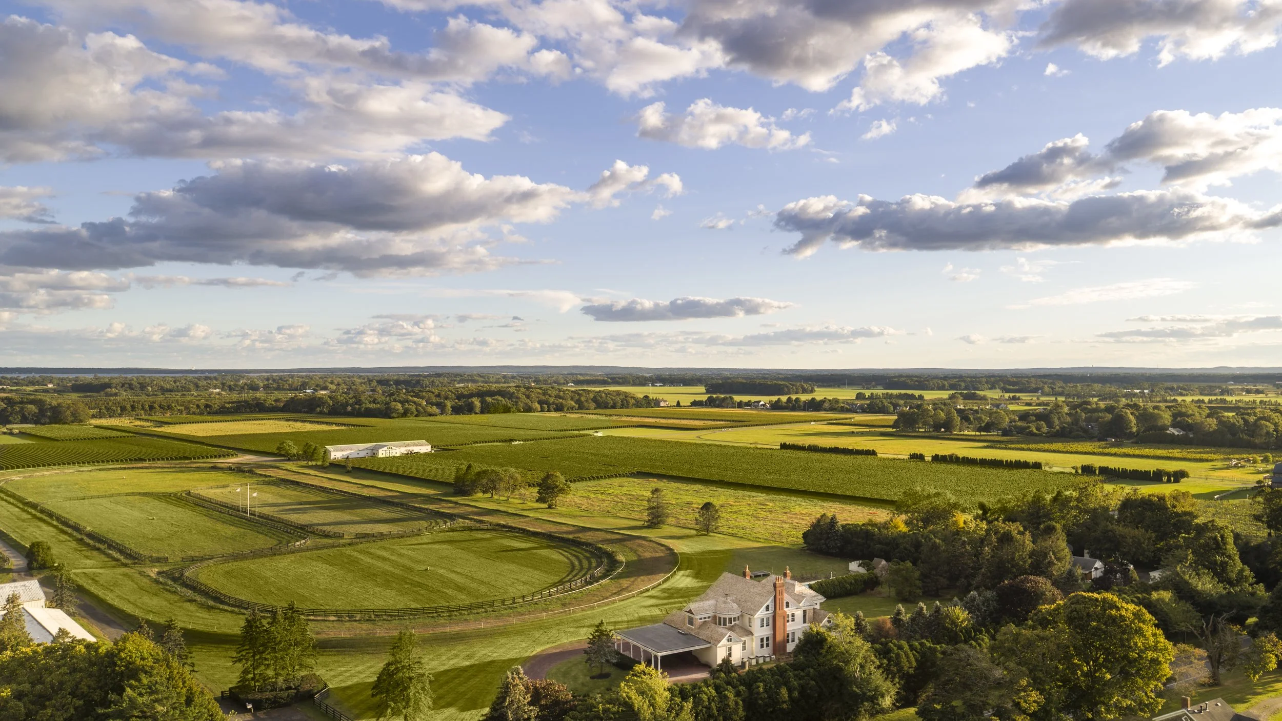 A060_C004_20210930_R00211 copy.jpg