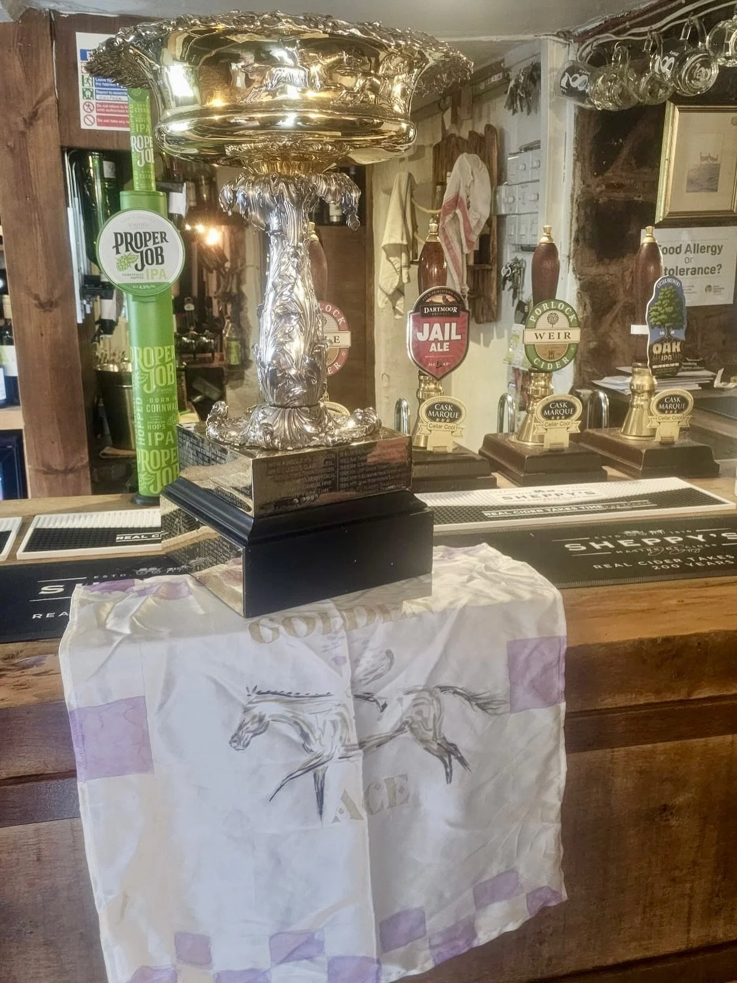 Wow&hellip; still in shock seeing my painted scarf of Golden Ace alongside the cup she won as Champion Hurdler 🏆🐎💫 Forever proud of this incredible mare. @jeremyscottracing @theroyaloakinnluxborough #GoldenAce #ChampionHurdler