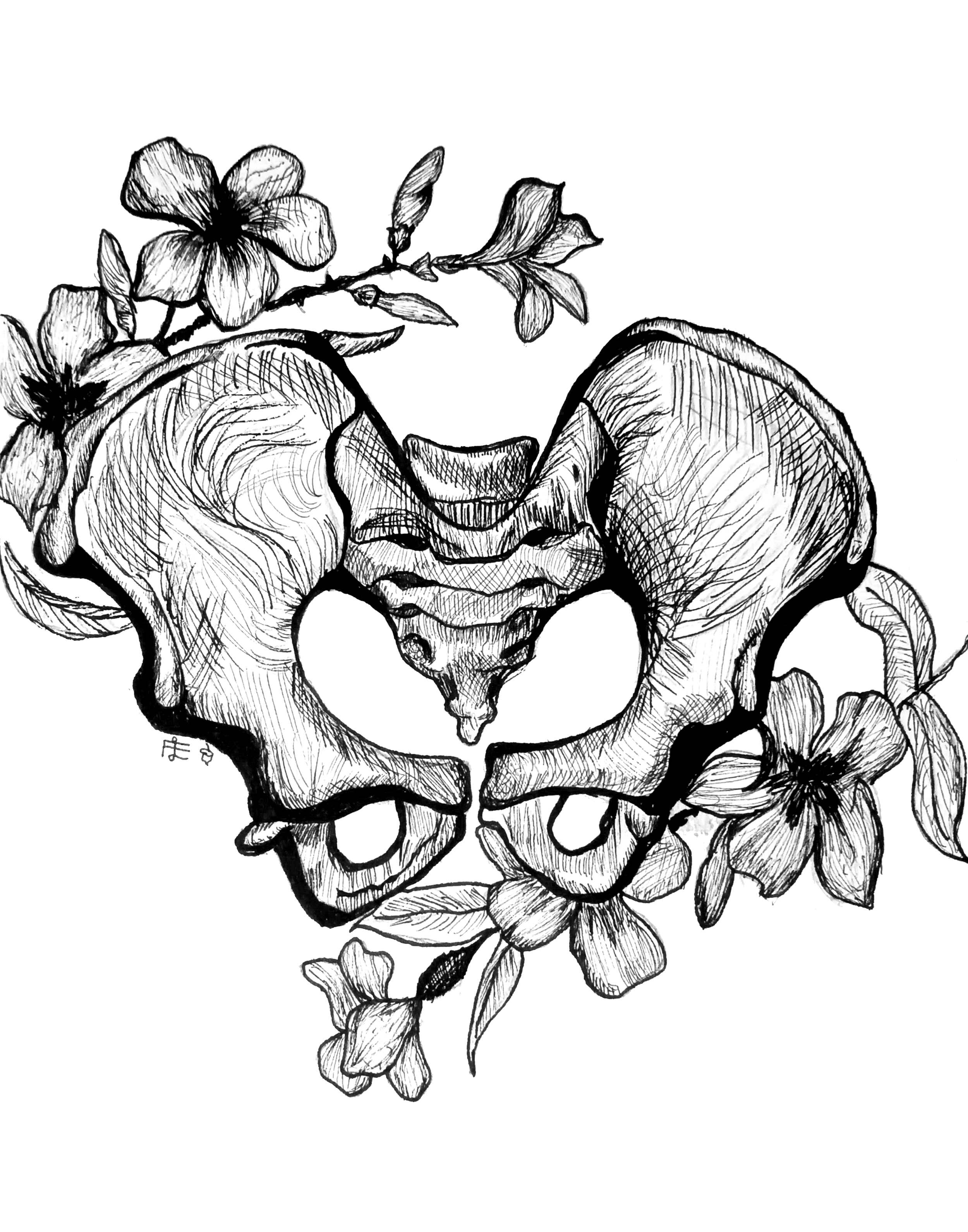 PELVIS ELLA (1).png