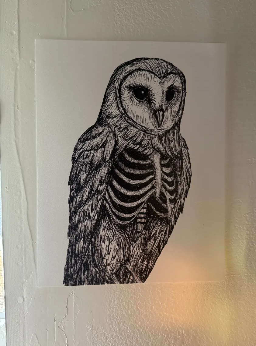 SS owl ribs.png