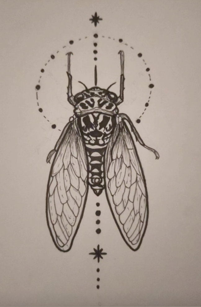 Cicada art.webp