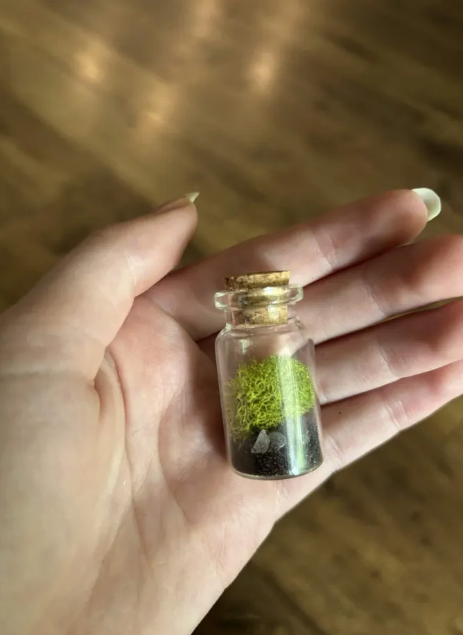 Screenshot 2026-04-06 at 2.47.48 PM.png