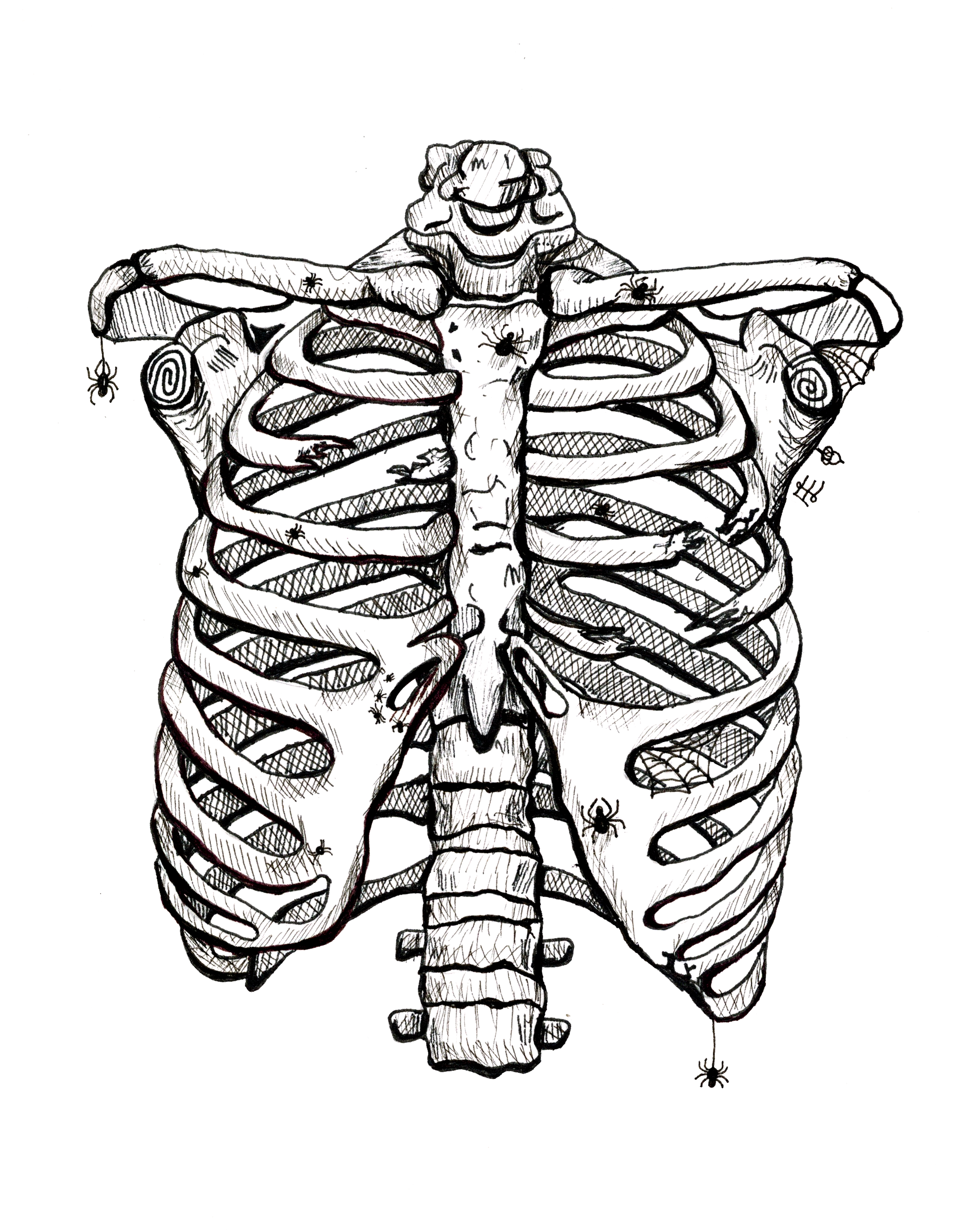 RIBS ELLA.png
