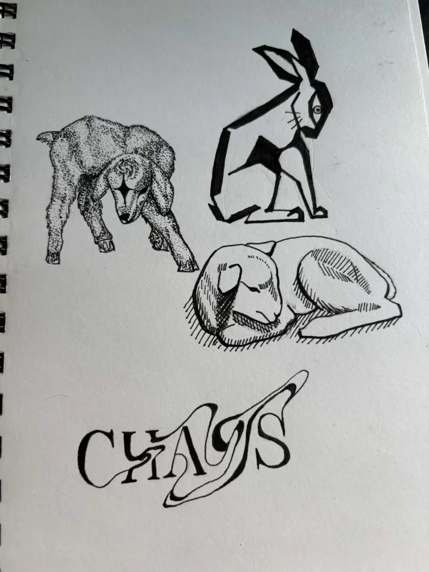 lamb flash art.webp
