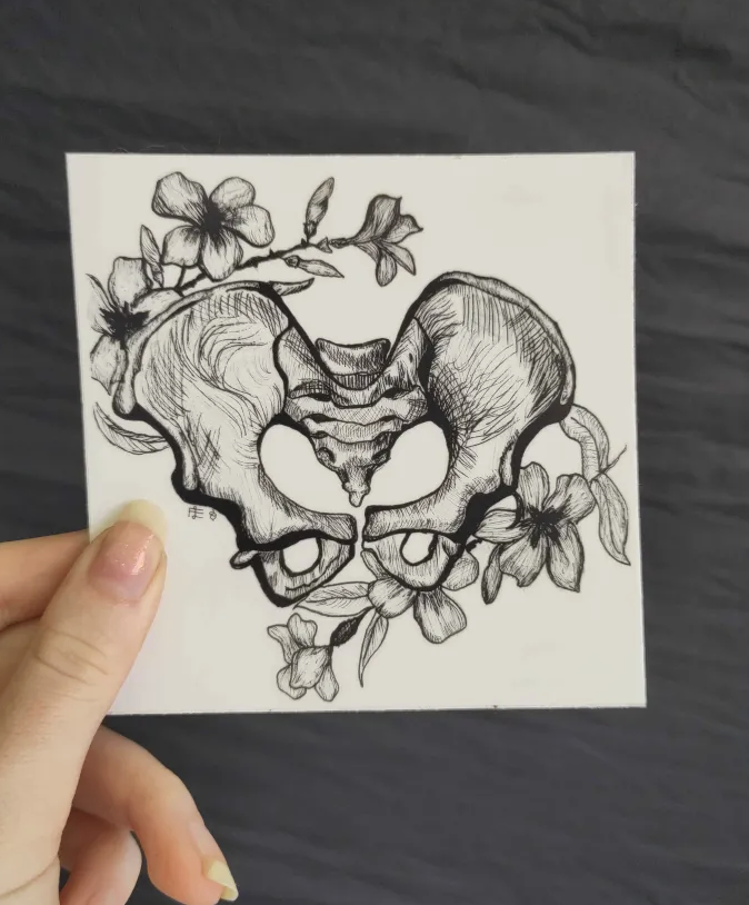 Pelvis Sticker