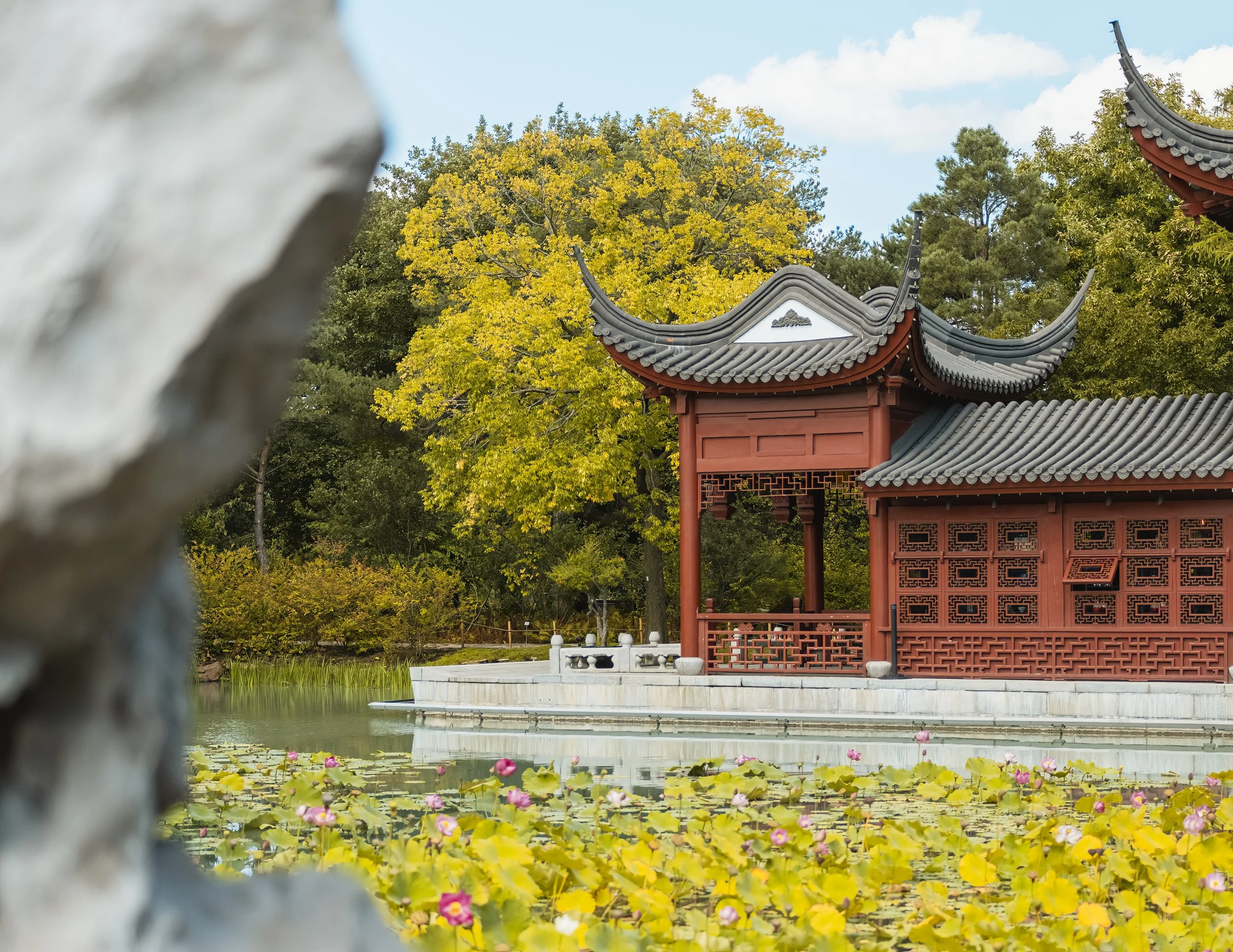 Landscape Photography