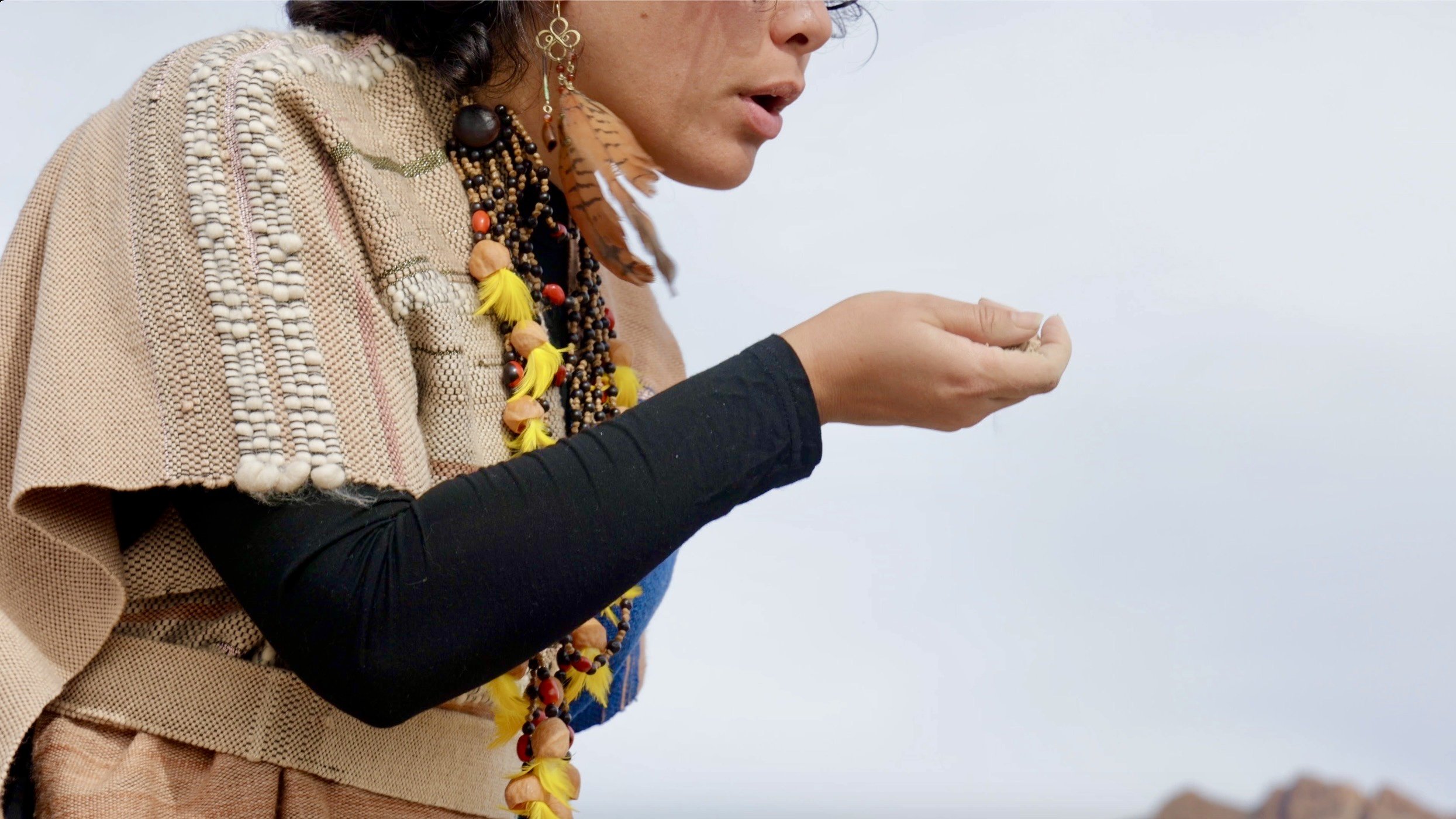 Screen Shot 2022-10-30 at 9.51.13 PM.jpeg