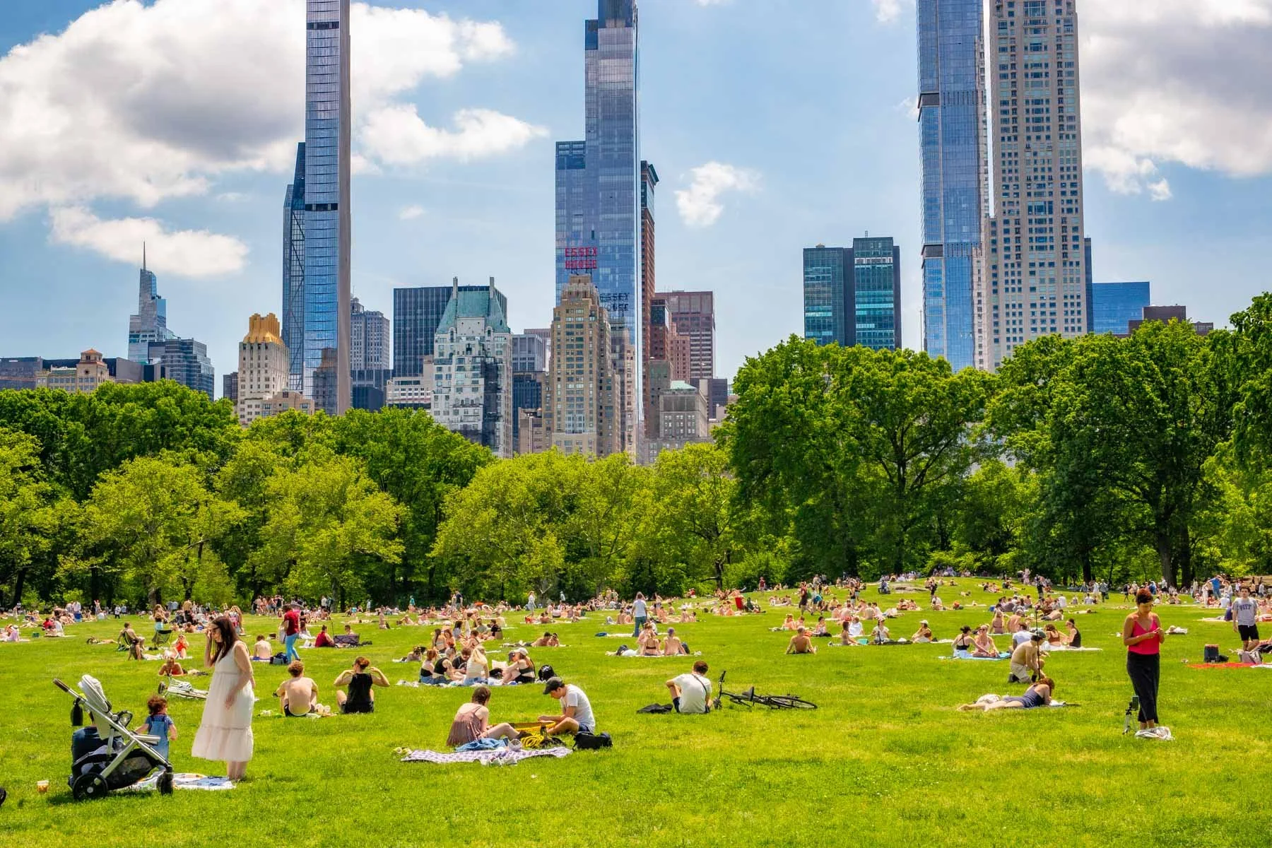 Moving a Three-Bedroom Home From NYC to Philadelphia? Get a Packing and Moving Quote