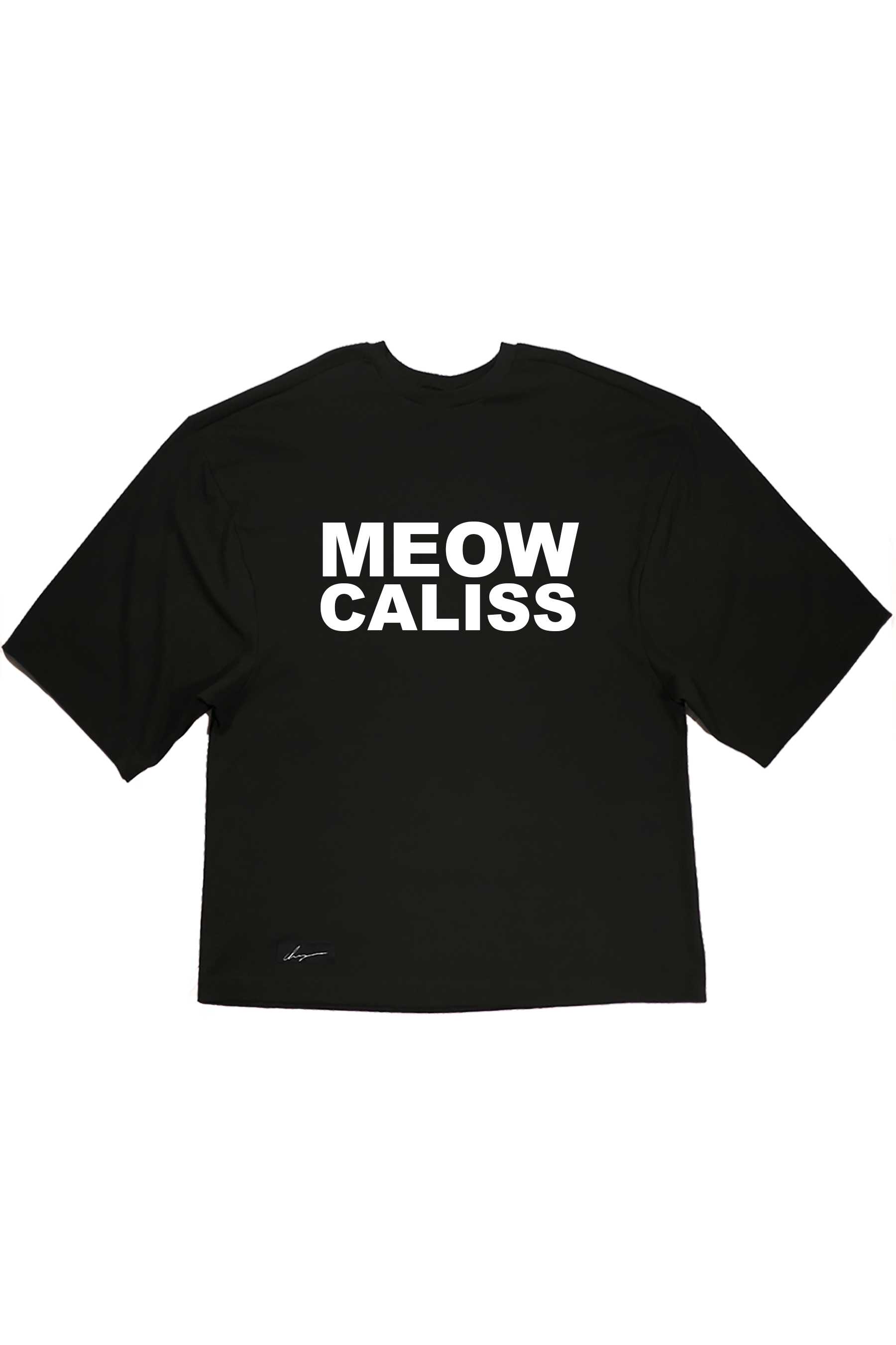 tshirt-oversized-meowbold.png