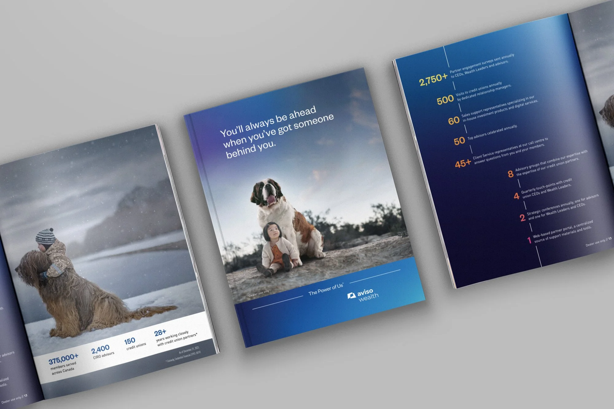 brochure-5.jpg