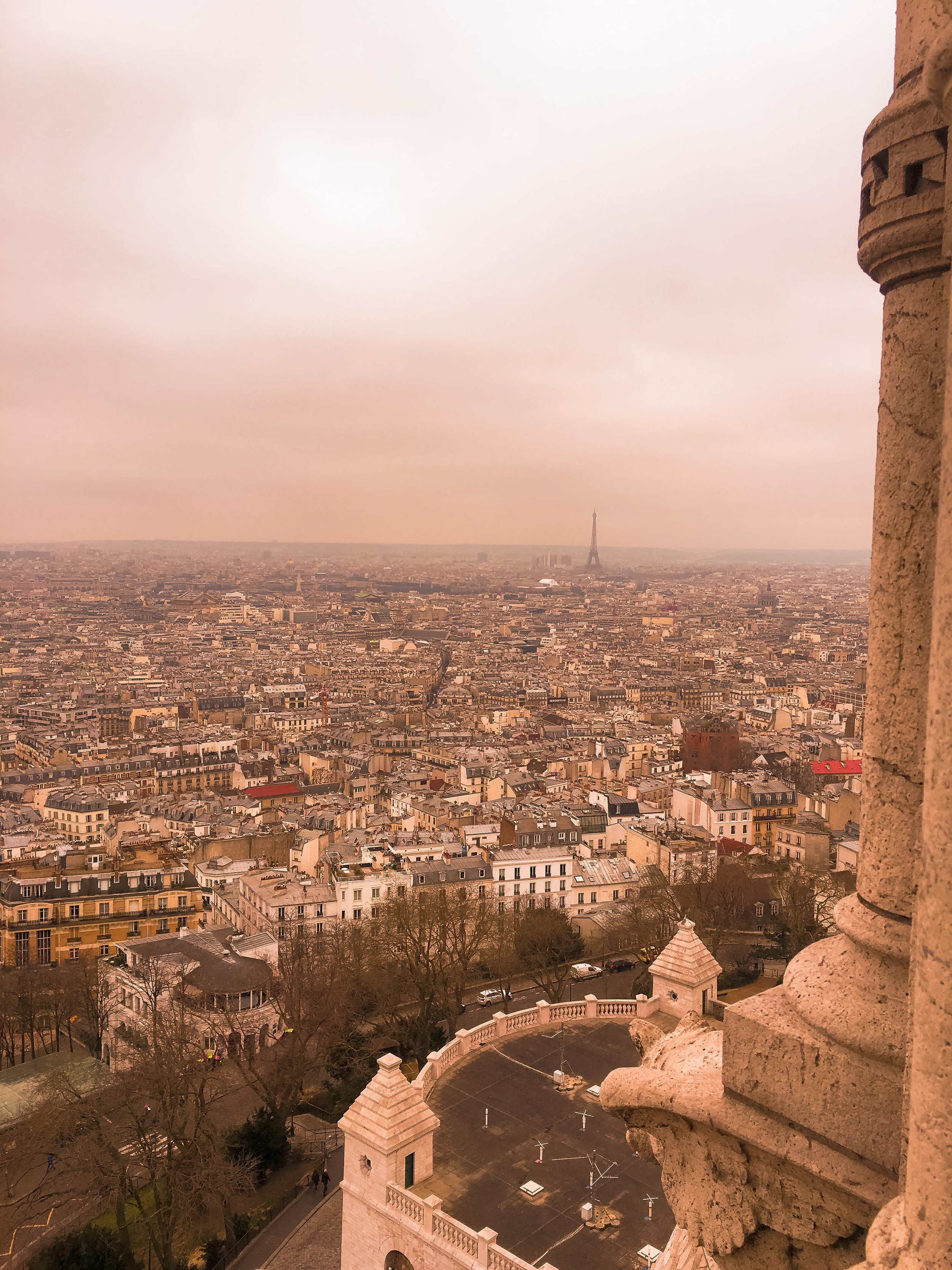 IMG_1593-2.jpg