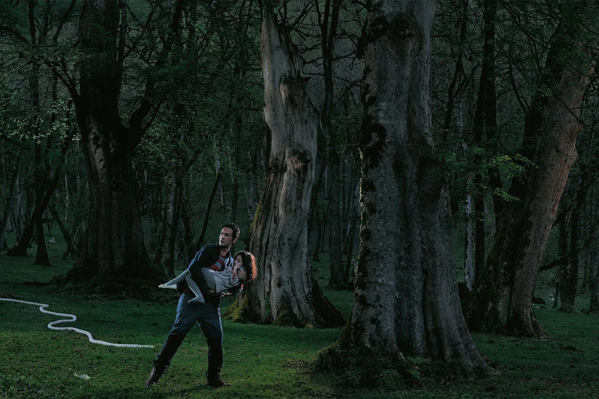 Apprihention Jungle 2.jpg