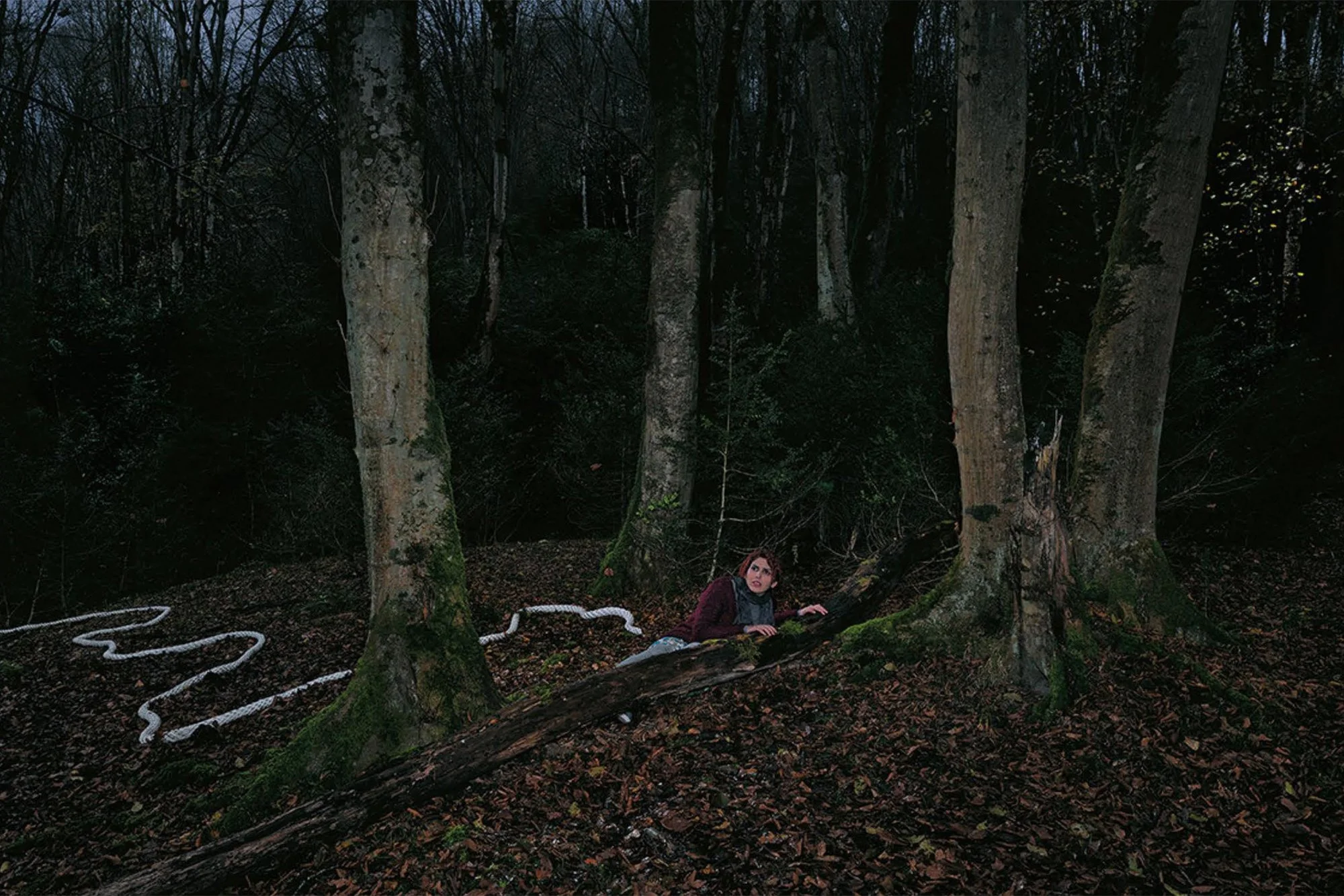 Apprihention Jungle 5.jpg