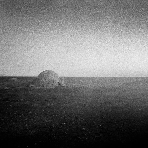 The Poetry of Bewilderment