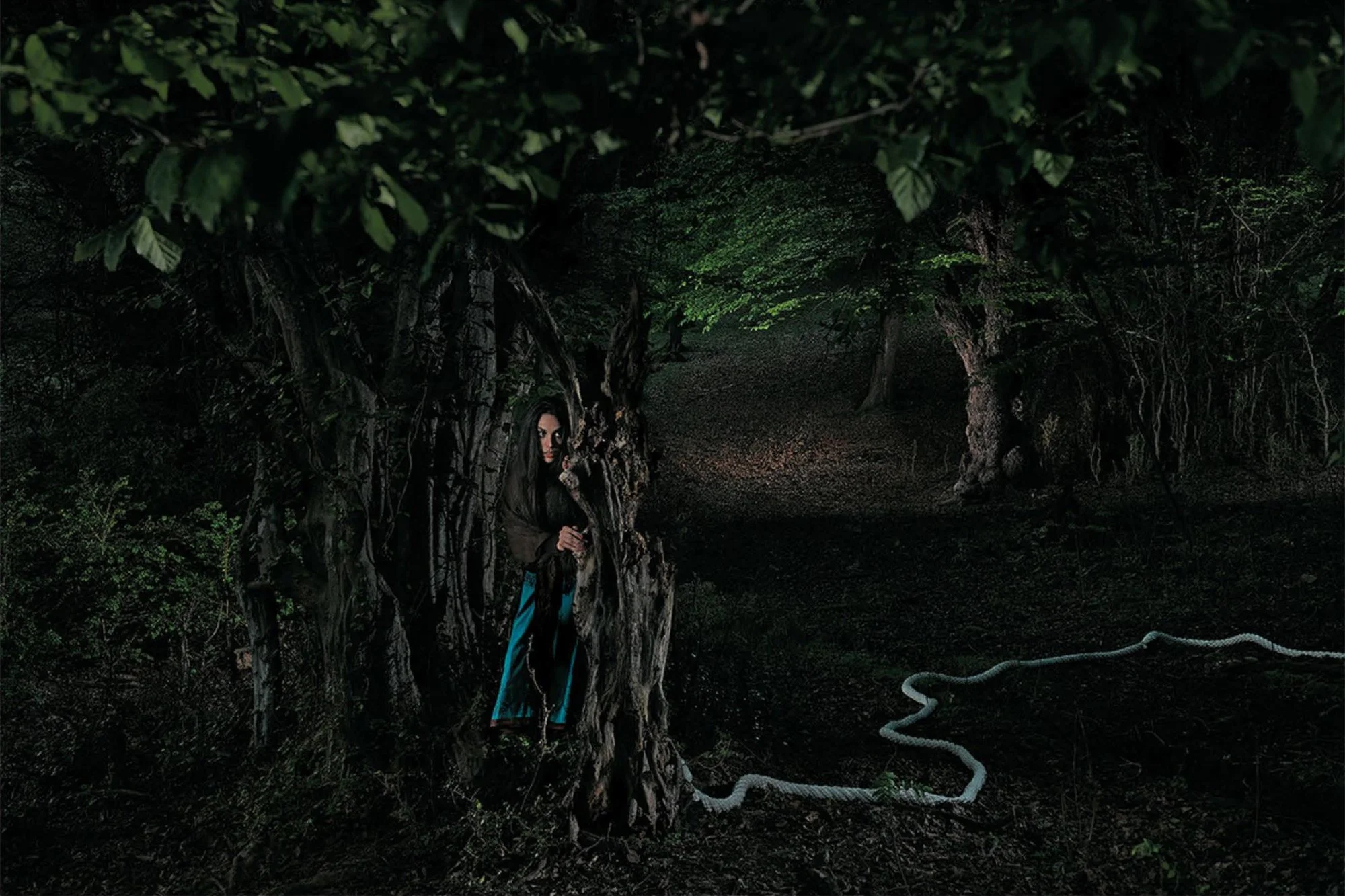 Apprihention Jungle 9.jpg