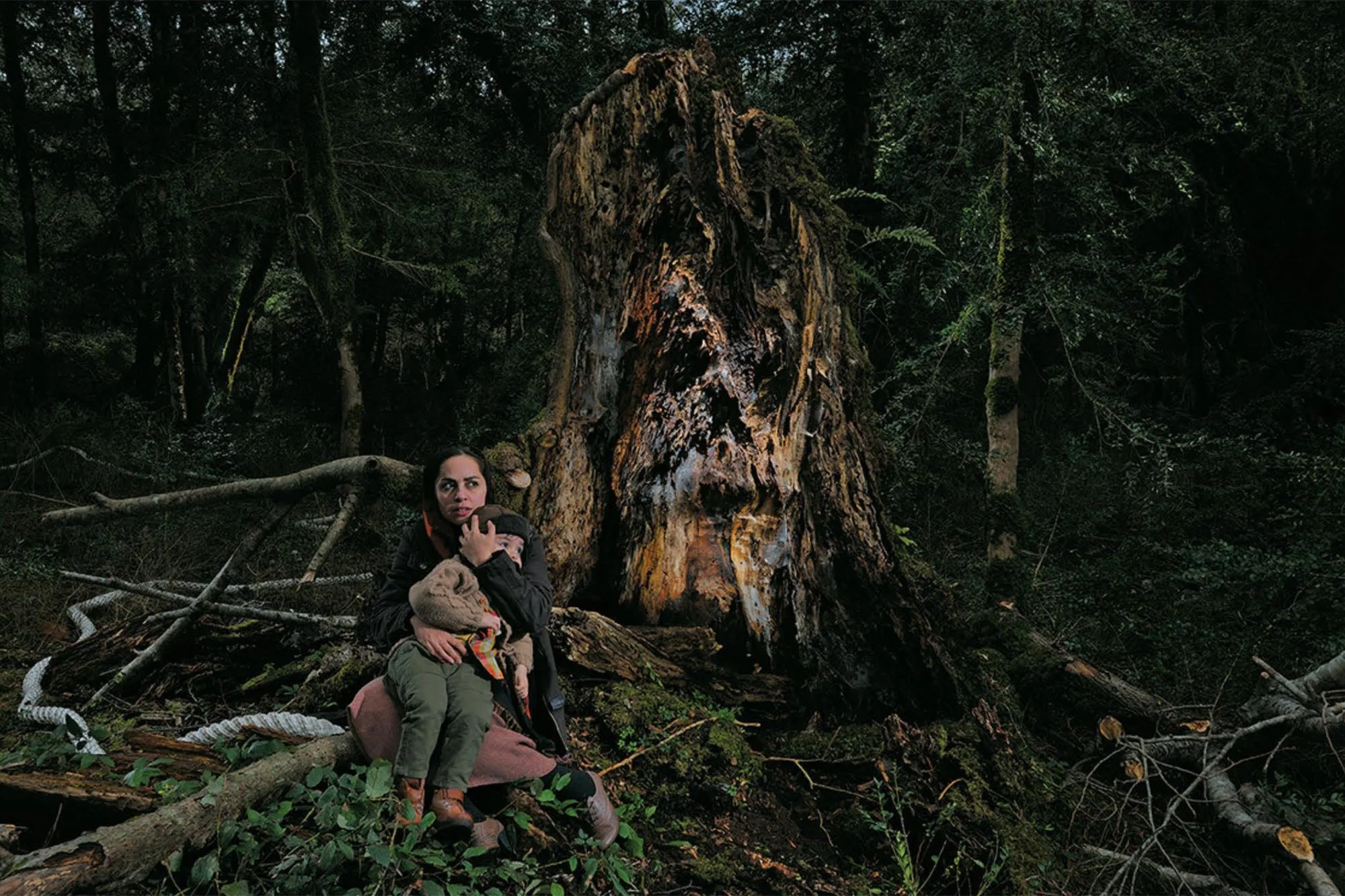 Apprihention Jungle 8.jpg