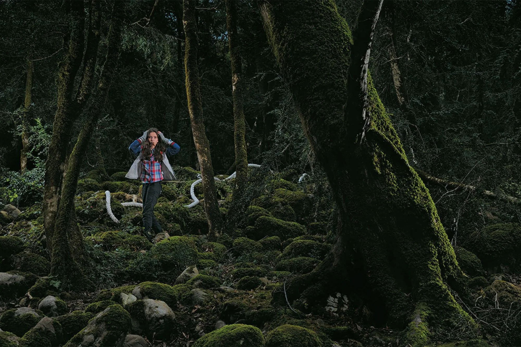 Apprihention Jungle 1.jpg