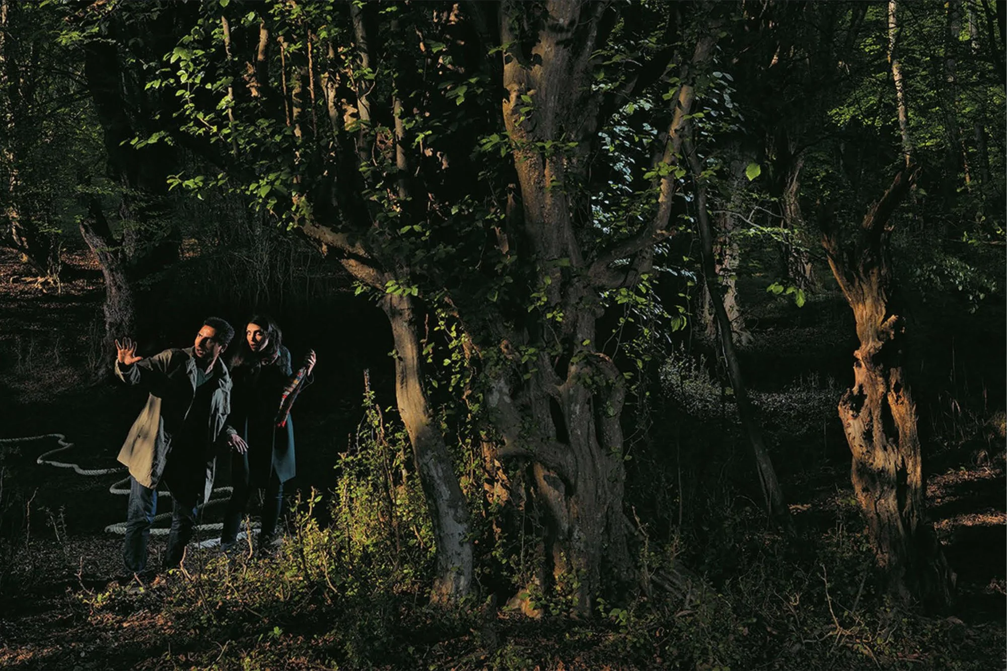 Apprihention Jungle 4.jpg