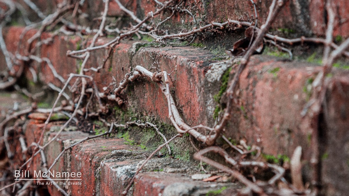 Weathered Bricks: Seeing Beyond the Surface