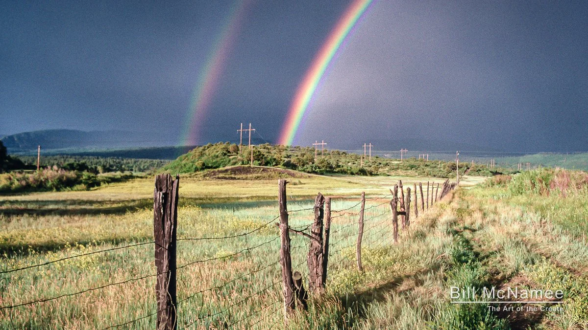 2025: A Year in Review