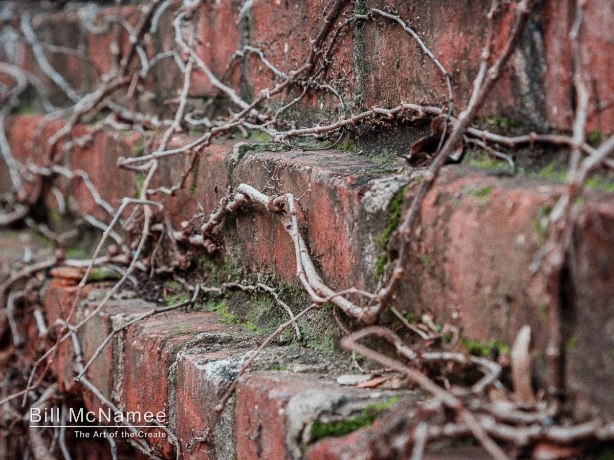 bricks-20130110-113350.jpg