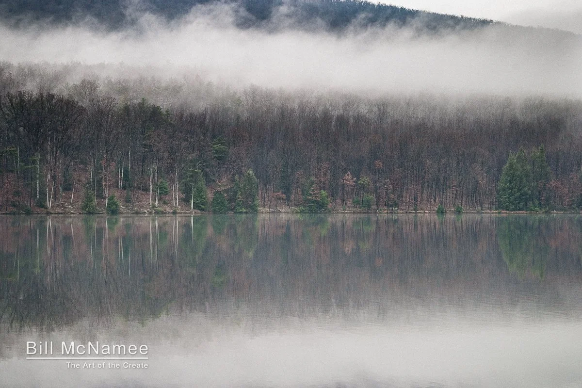 Reflections of bare trees and evergreens in calm water at Lake Habeeb during a foggy autumn morning.