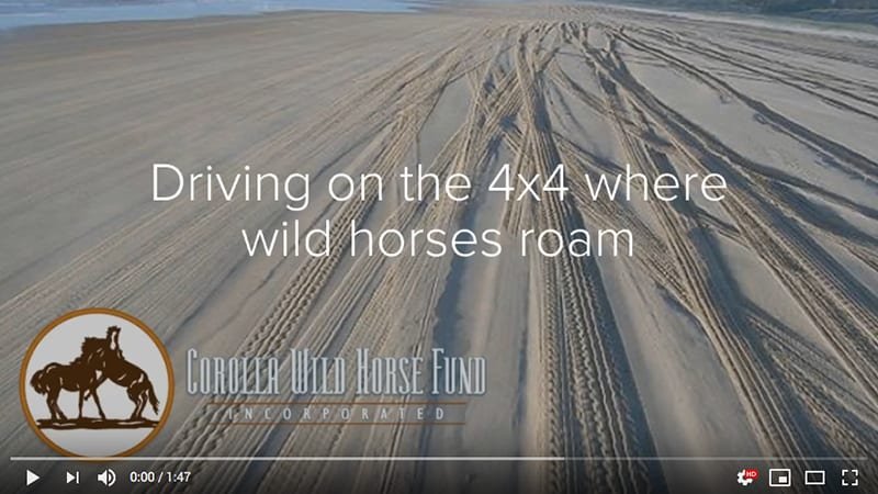 An off-road vehicle driving on a sandy beach with tire tracks, promoting riding on wild horses with Corolla Wild Horse Fund.