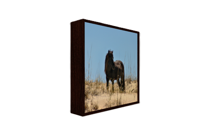 A framed picture of a black horse standing in a sandy field with dry grass, under a clear blue sky.