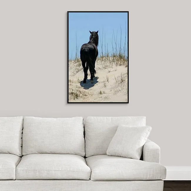 Black Stallion Hill III Framed Canvas.jpeg