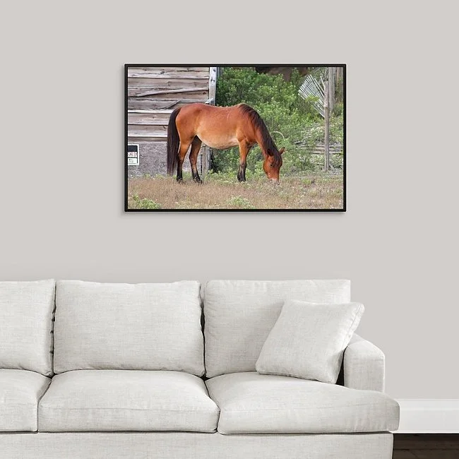 Trespasser I - Framed Canvas.jpeg