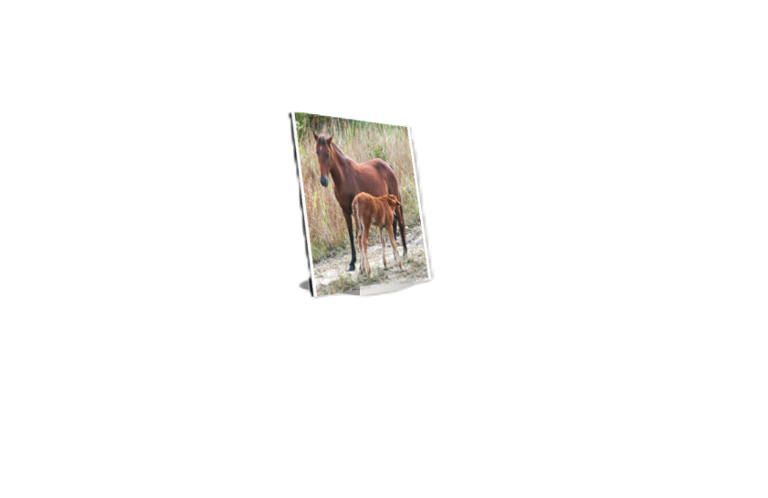 Screenshot (171).png