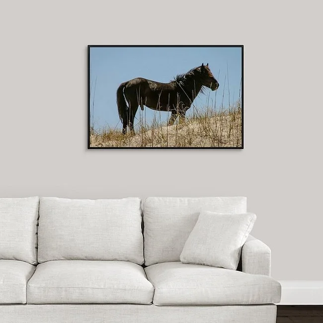 Black Stallion Hill II Framed Canvas.jpeg