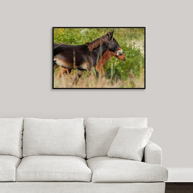 On the Run Framed Canvas.jpeg