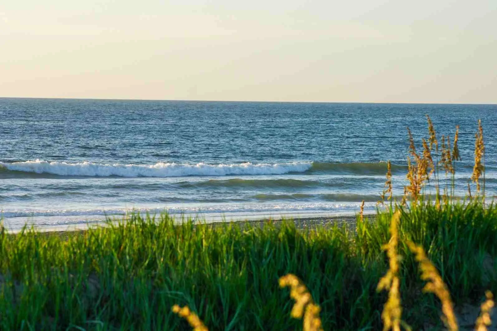 View of a beach with grassy dunes in the foreground and calm ocean waves in the background during daytime.