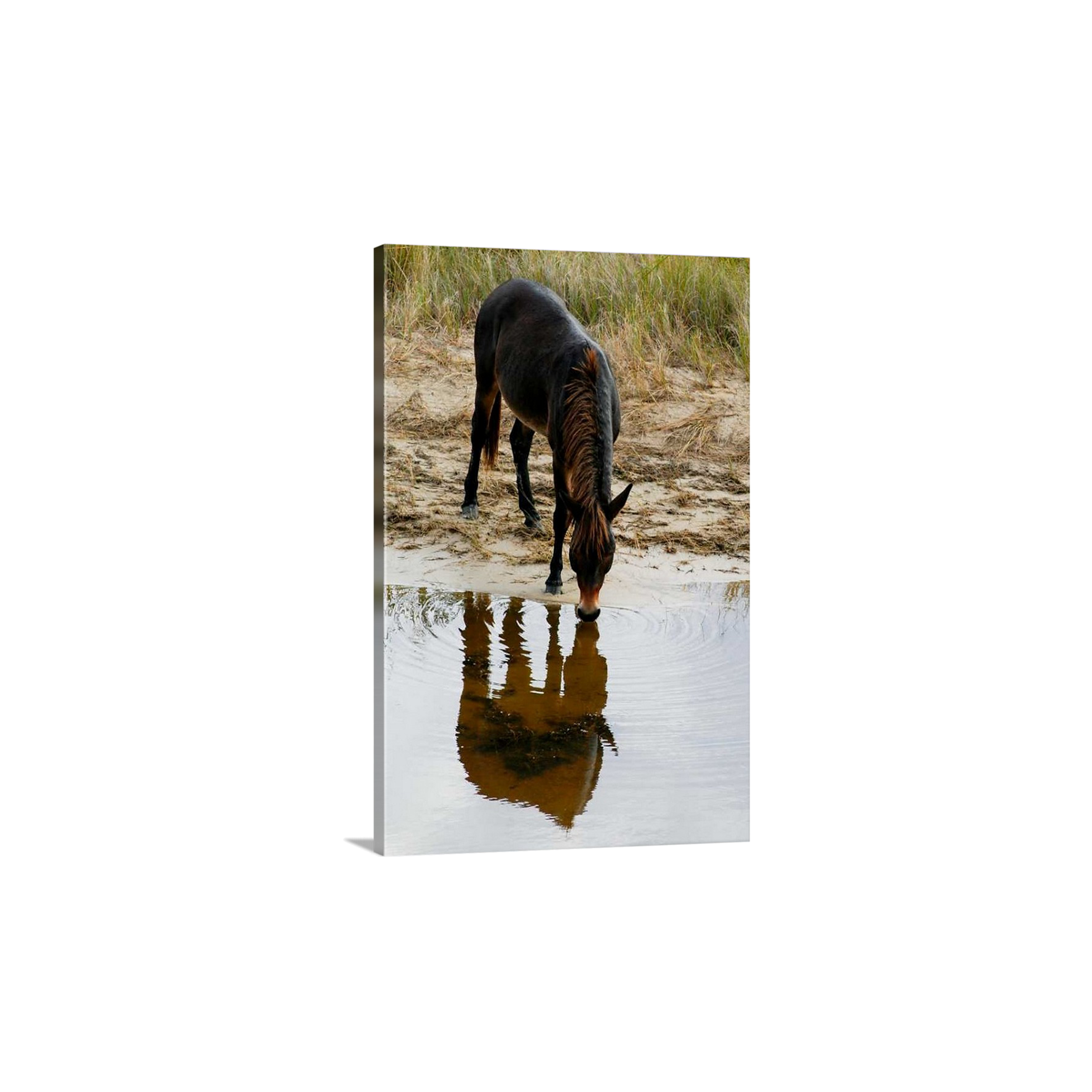 Raymond's Watering Hole