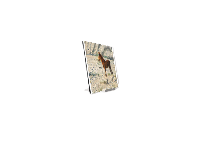 Screenshot (161).png