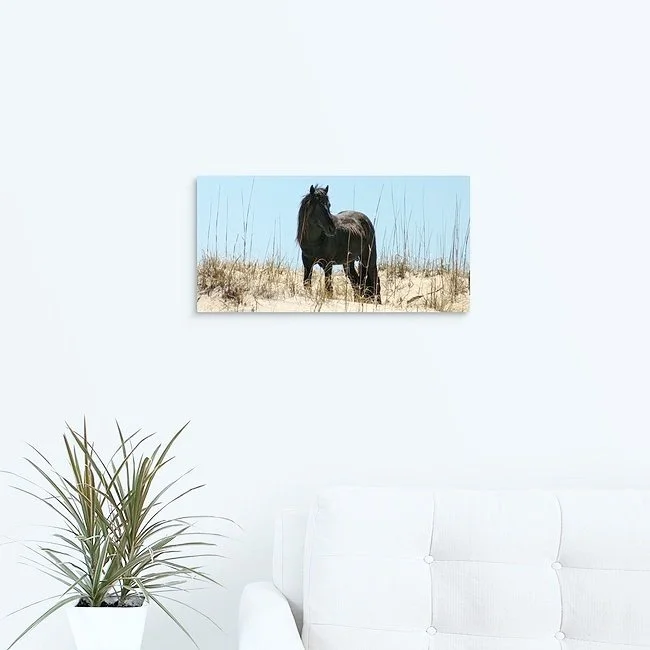 Black horse standing in sandy dunes with blue sky