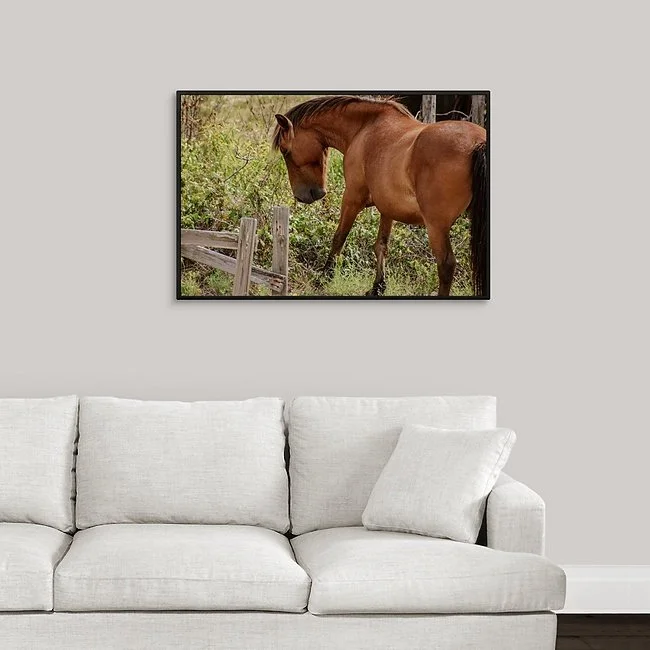 Grazing II Framed Canvas.jpeg