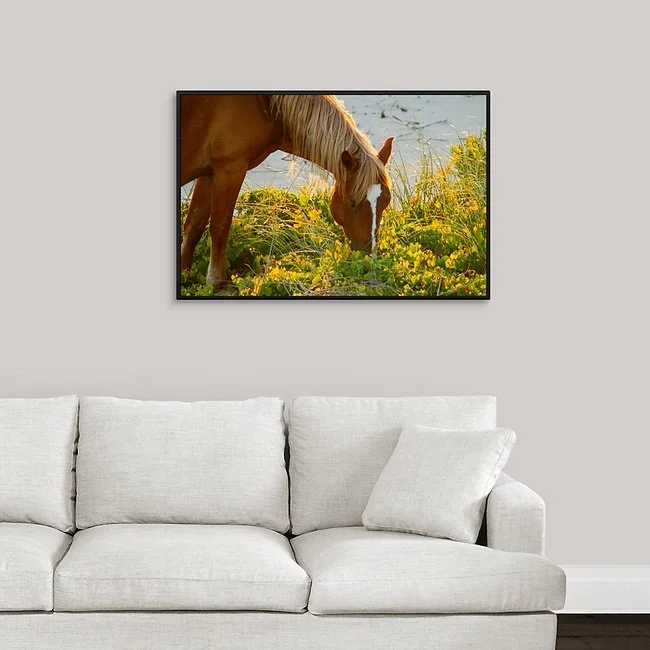 Grazing Beauty I - Framed Canvas.jpeg