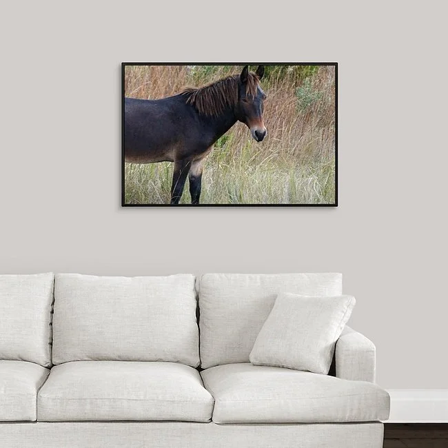 Grazing with Raymond Framed Canvas.jpeg