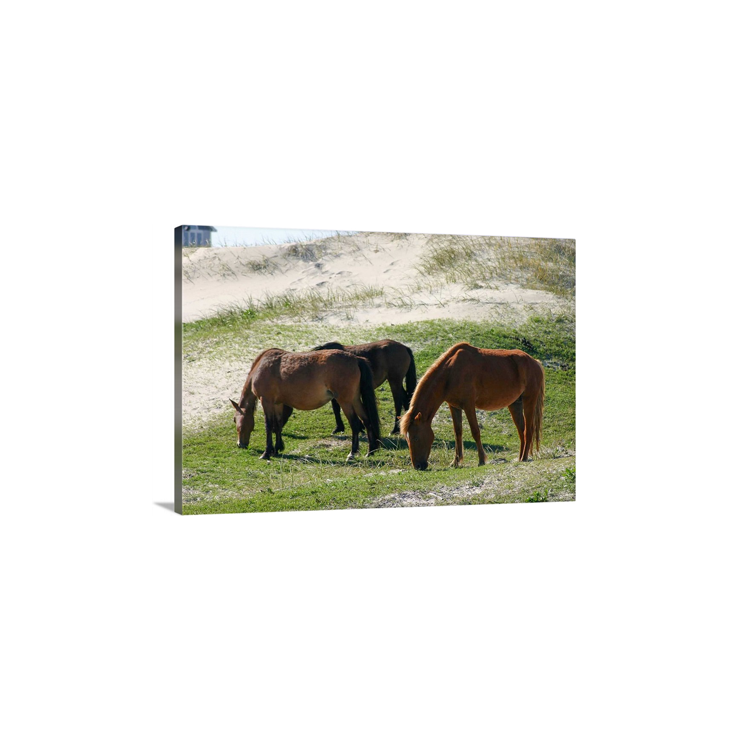 Family Grazing Time I