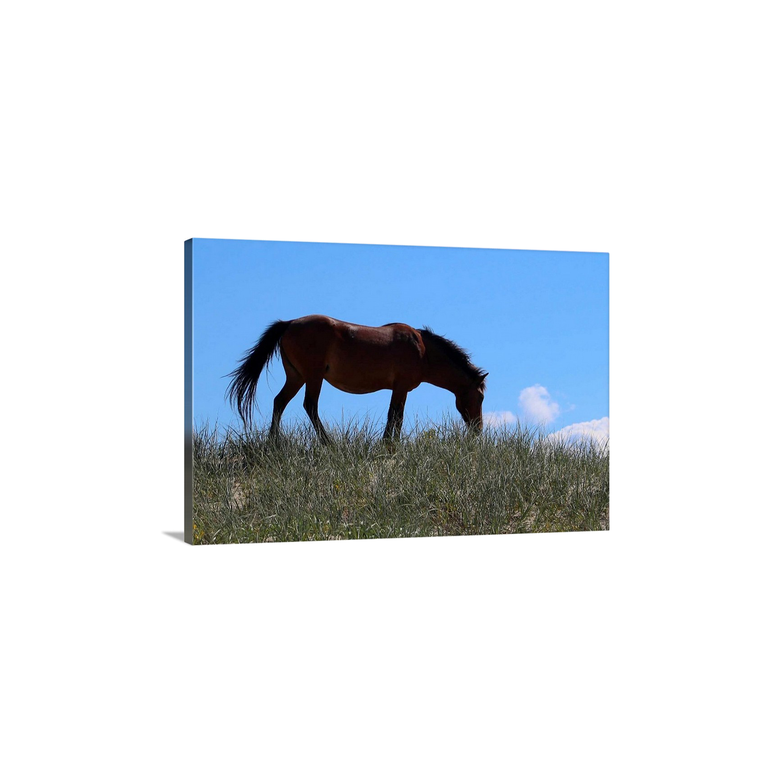 Grazing Heaven I